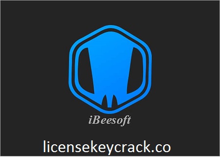 iBeesoft Data Recovery Crack